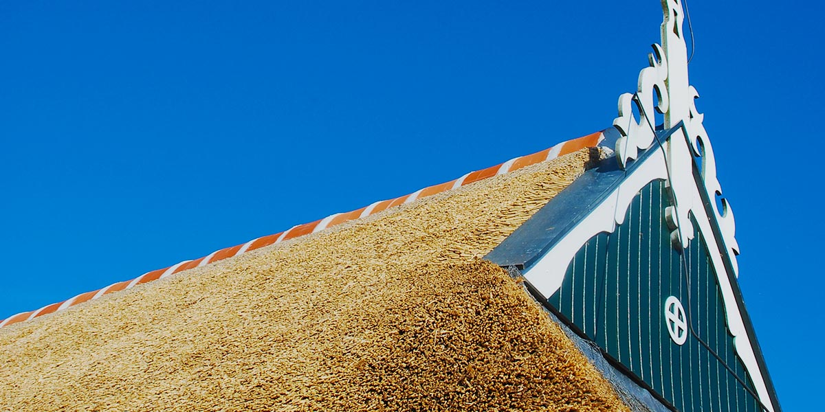 Duurzaamheid; de levensduur van het rietendak is afhankelijke van vele verschillende factoren