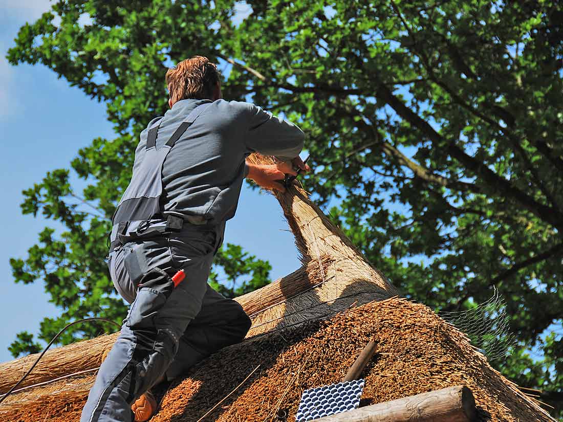 Rietdekkersbedrijf Hofkamp, ruim 40 jaar ervaring op het dak