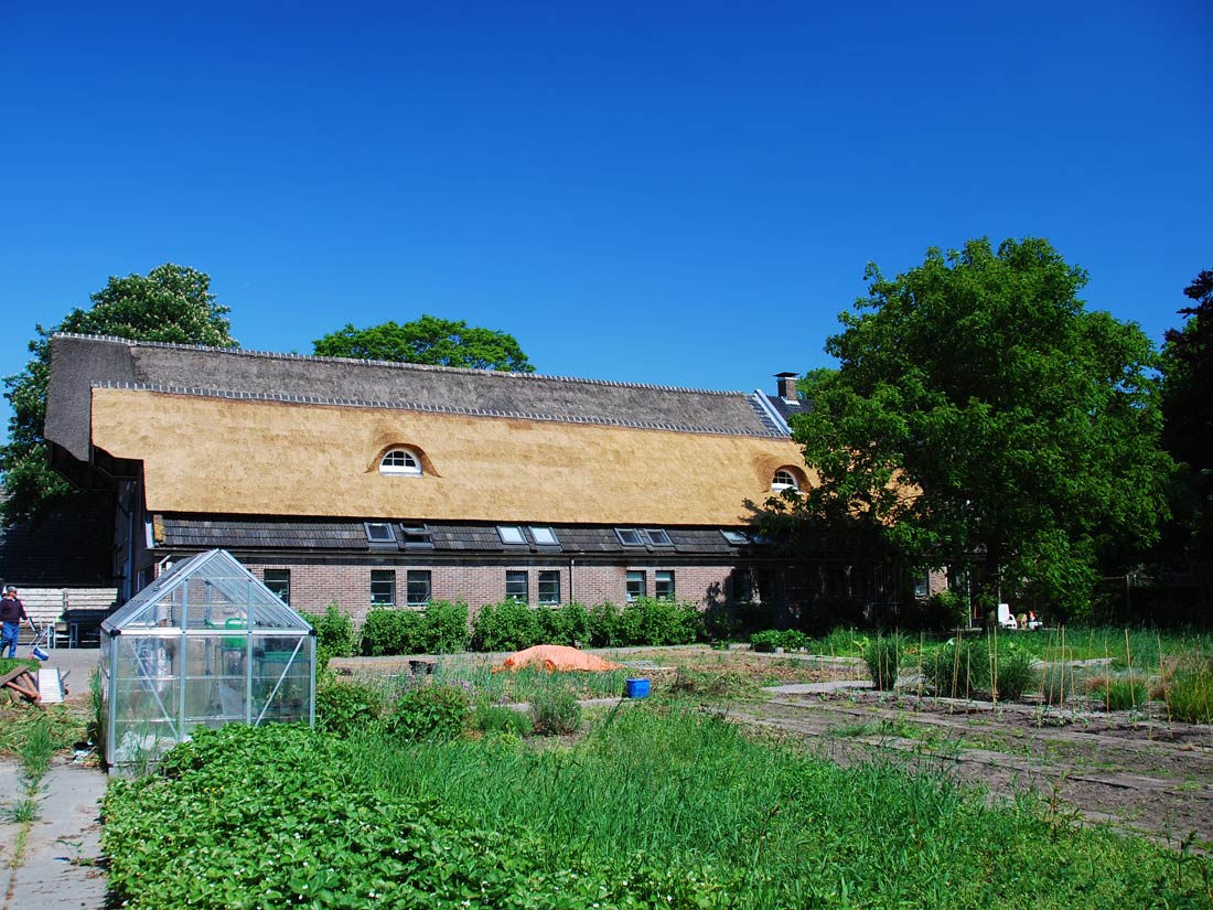 Peest - Vervangen rieten dak van de...